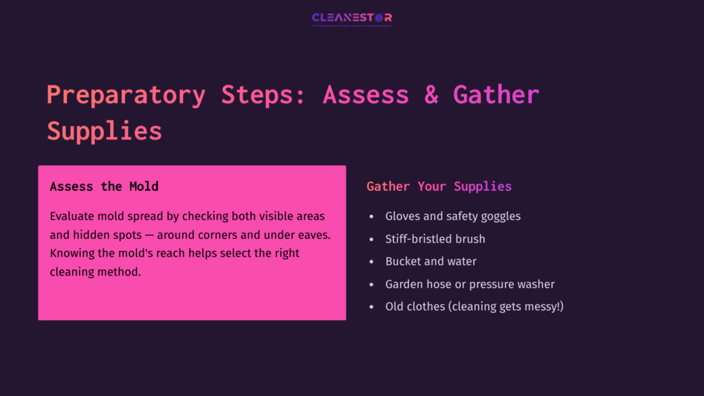 Text On A Dark Background Outlines Steps To Clean Mold Off Brick, Including Assessing Mold And Gathering Cleaning Supplies Like Gloves And Brushes.