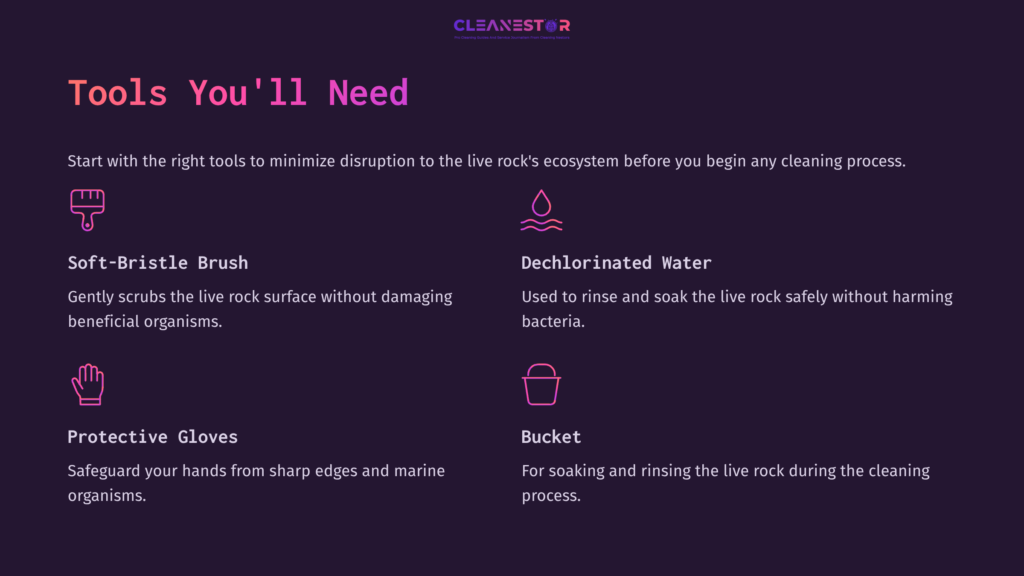 Purple Background With White Text Listing Tools: Stiff Brush, Dechlorinated Water, Protective Gloves, And Bucket, For Cleaning Live Rock.