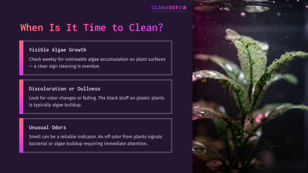 4 When Is It Time To Clean A Close-Up Of Aquarium Plastic Plants With Visible Algae Growth In The Background, Featuring Purple And Blue Text Highlighting Cleaning Tips.