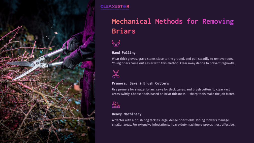 Dark Gloves Grasp Thorny Briars In One Hand While Pruning Shears Are Positioned Nearby. The Background Is A Vibrant Purple, Enhancing Visibility.