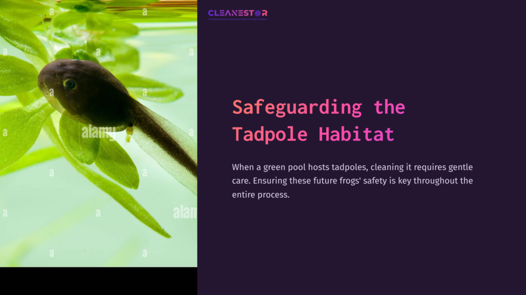 5 Safeguarding The Tadpole Habitat Close-Up Of A Tadpole Nestled Among Green Aquatic Plants, Illustrating The Focus On Preserving Their Habitat During Pool Cleaning.