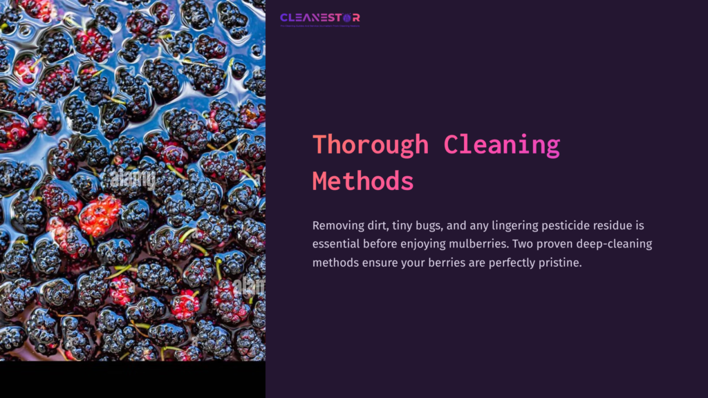 5 Thorough Cleaning Methods Blue And Purple Mulberries Submerged In Water, With Some Visible Dirt And Residue, Highlighting The Cleaning Process Before Consumption.