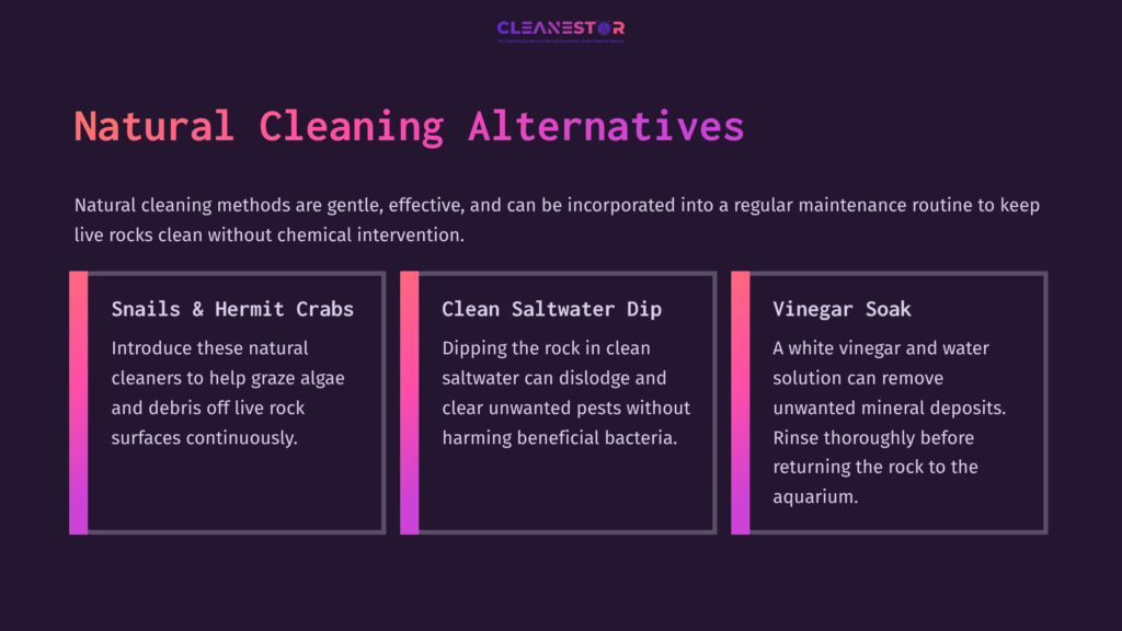 Illustration Featuring Tips On Natural Cleaning Methods For Live Rock, Highlighted Sections On Snails, Saltwater Dips, And Vinegar Soaks.