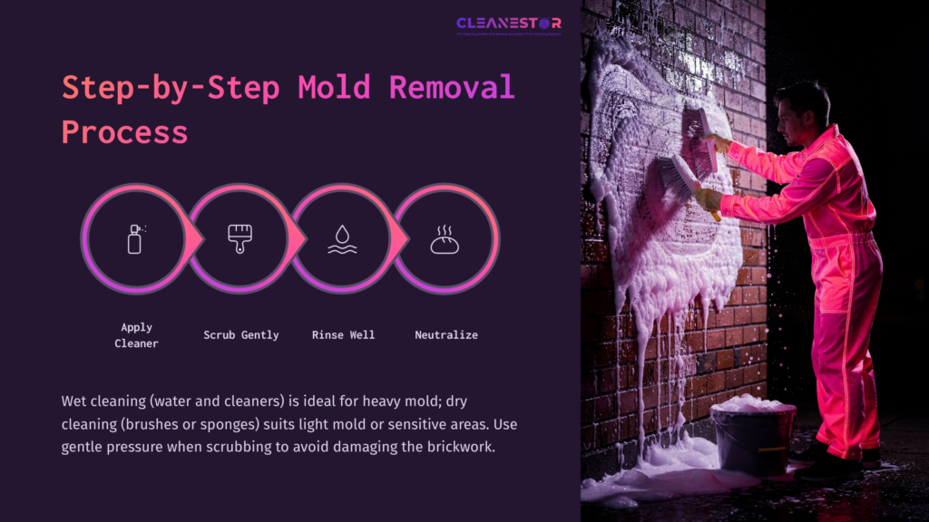 A Person In Pink Overalls Scrubs A Brick Wall With Mold, Surrounded By Icons Showing Cleaning Steps: Apply, Scrub, Rinse, Neutralize.