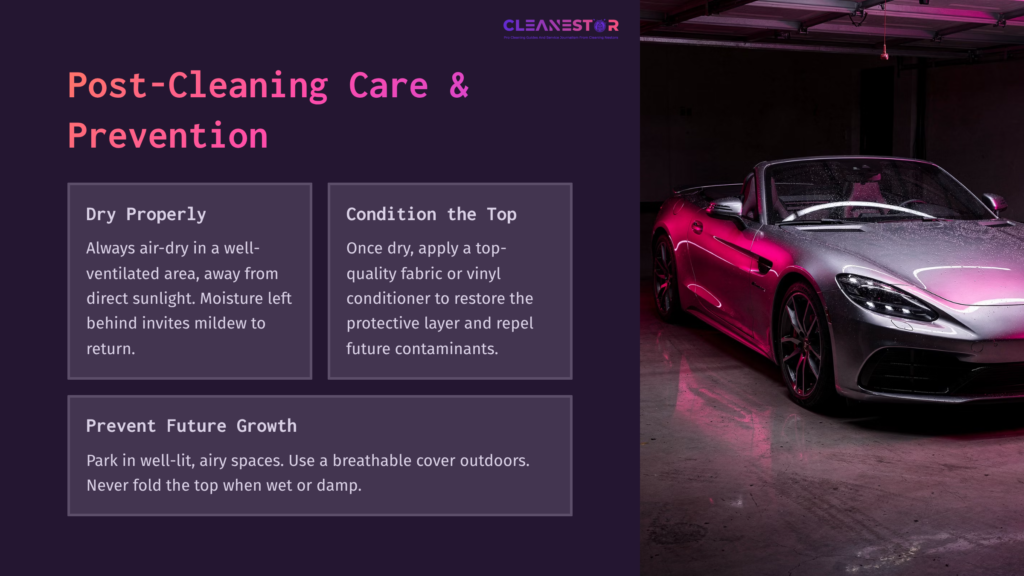 A Sleek Convertible Car Parked In A Well-Lit Space, With A Focus On A Vibrant Purple Exterior, Accompanied By Cleaning Care Tips Beside It.