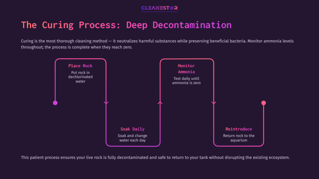 Diagram Outlining The Deep Decontamination Process For Live Rock, With Steps For Placing, Monitoring Ammonia, And Reintroducing It To The Aquarium.
