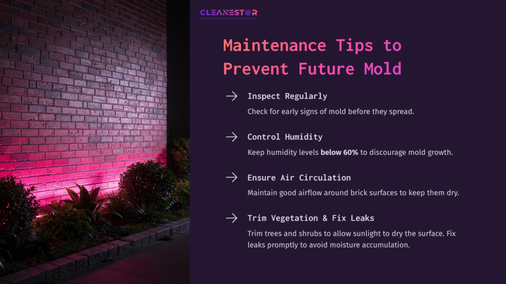 A Brick Wall With Subtle Pink Lighting, Accompanied By Maintenance Tips To Prevent Mold, Including Inspecting, Controlling Humidity, Ensuring Airflow, And Fixing Leaks.