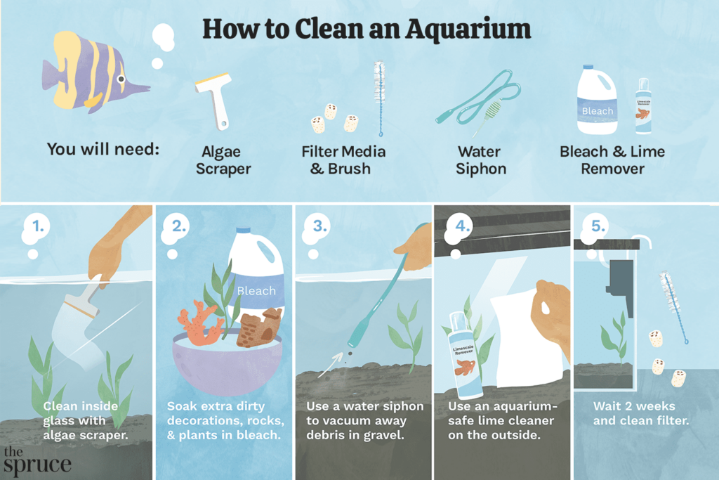 How To Clean A Fish Tank Without A Gravel Vacuum How To Clean A Fish Tank Without A Gravel Vacuum