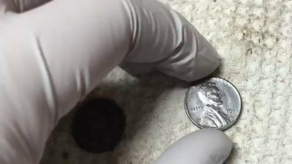 How To Clean A Steel Penny