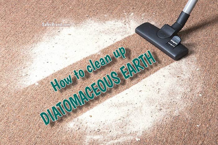 How To Clean Up Diatomaceous Earth How To Clean Up Diatomaceous Earth