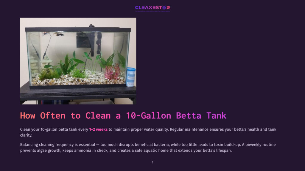 A 10-Gallon Betta Tank With A Black Frame, Filled With Clear Water, Gravel Substrate, Live Green Plants, And A Pink Artificial Plant. Two Small Betta Fish Swim In The Tank.