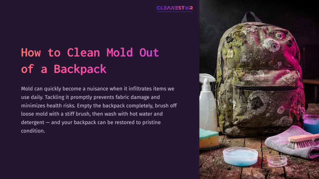 A Moldy Backpack Sits On A Surface, Surrounded By Cleaning Supplies Including A Spray Bottle, Brushes, And Bowls Of Detergent.