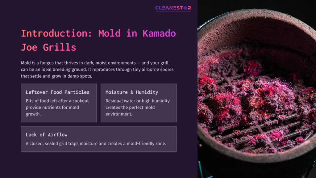 A Close-Up Of A Kamado Joe Grill Showing Mold-Covered Charcoal, With Highlighted Text On Mold Prevention Factors: Moisture, Food Particles, Airflow.