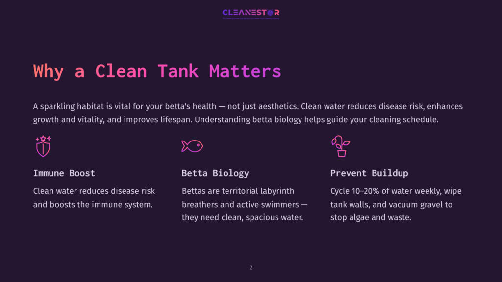 Illustration For &Quot;Why A Clean Tank Matters,&Quot; Featuring Three Icons: A Shield With Stars For &Quot;Immune Boost,&Quot; A Fish For &Quot;Betta Biology,&Quot; And A Plant For &Quot;Prevent Buildup.&Quot; Text Explains The Benefits Of A Clean Betta Tank.