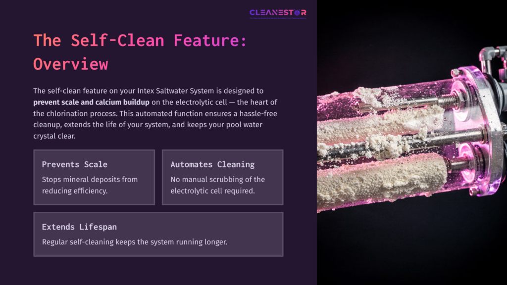 Overview Of The Self-Clean Feature For Intex Saltwater System, Highlighting Scale Prevention, Automated Cleaning, And Extended Lifespan.