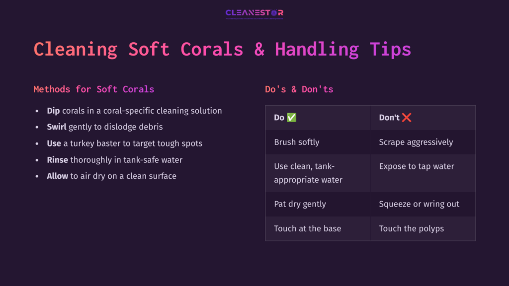 Graphic With A Dark Background And Vibrant Text Outlining Cleaning Tips For Soft Corals, Including Methods And Do'S &Amp; Don'Ts.