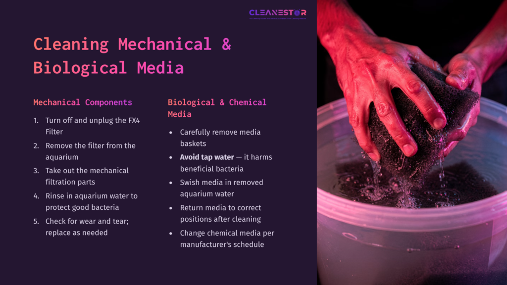 Hands In A Bowl Of Water, Cleaning A Filter, With Bold Text Instructions On Cleaning Mechanical And Biological Media Beside It.