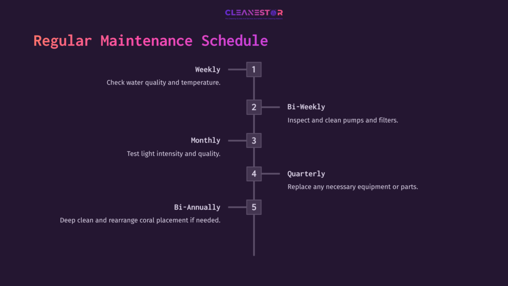A Schedule Outlining Coral Maintenance Tasks With Pink Text On A Dark Purple Background, Featuring A Timeline With Specific Deadlines.