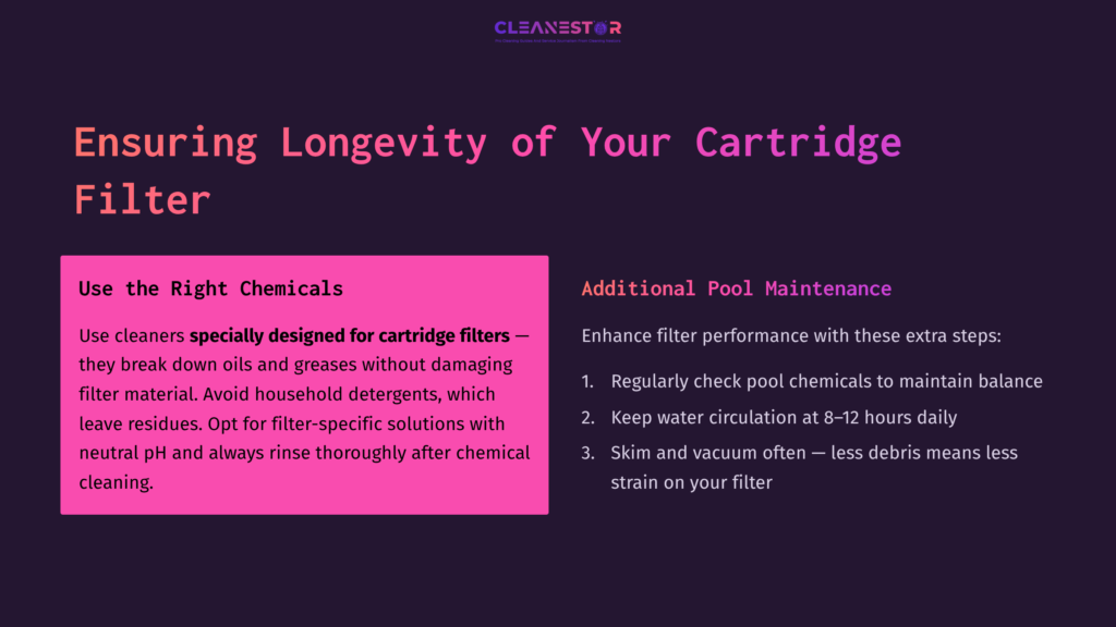 Text On A Dark Background With Pink Highlights Discusses Cartridge Filter Maintenance, Using Specific Chemicals And Regular Cleaning Tips.