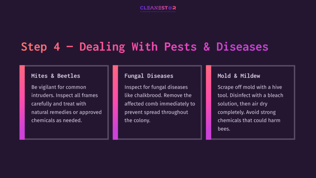 Three Sections On A Dark Purple Background Detailing Pest And Disease Management For Beehives, Using Pink Text Highlights.