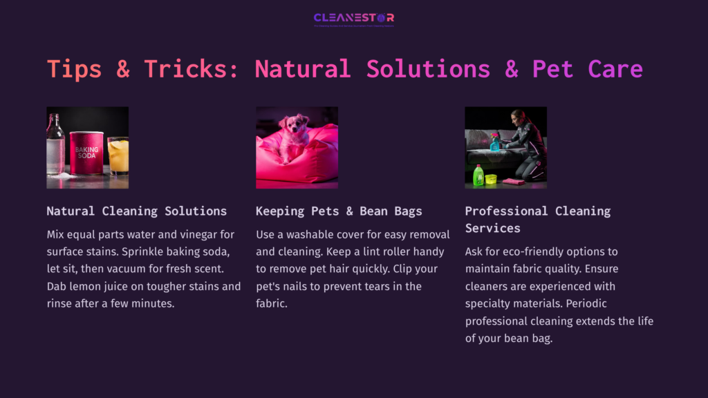 Visual Tips On Cleaning Bean Bags, Featuring Vibrant Colors; Includes Solutions For Odors, Pet Hair Removal, And Professional Services.