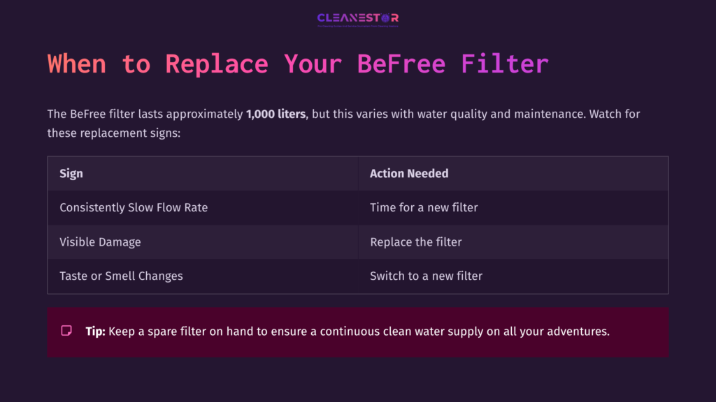 Table Listing Signs To Replace The Katadyn Befree Filter, With Actions Needed, In A Dark Purple And Pink Layout Against A Light Background.