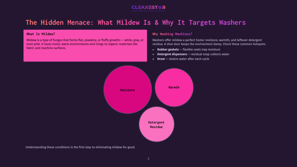 2 The Hidden Menace What Mildew Is And Why It Targets Washers Infographic Titled &Quot;The Hidden Menace: What Mildew Is &Amp; Why It Targets Washers.&Quot; Explains Mildew'S Properties And Lists Common Washer Hotspots Like Rubber Gaskets, Detergent Dispensers, And The Drum, With Accompanying Visual Diagrams.