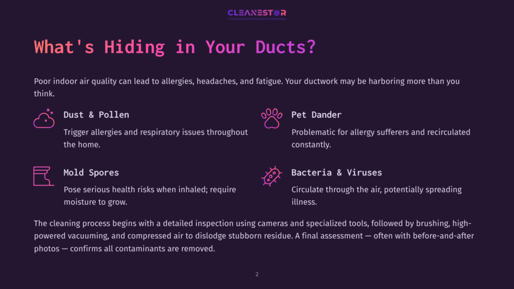 2 Whats Hiding In Your Ducts Infographic Titled &Quot;What'S Hiding In Your Ducts?&Quot; Detailing Common Indoor Air Pollutants Like Dust, Pollen, Pet Dander, Mold Spores, Bacteria, And Viruses, With Icons And Descriptions.