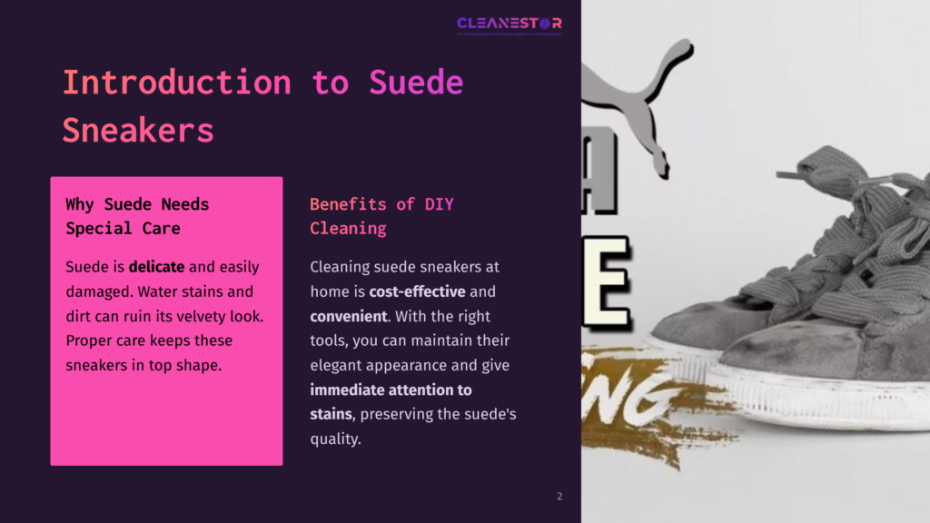 2 Introduction To Suede Sneakers Gray Suede Sneakers Are Shown Against A Split Background; One Side Features Pink Text Detailing Care Tips, While A Sneaker Logo Is Visible.