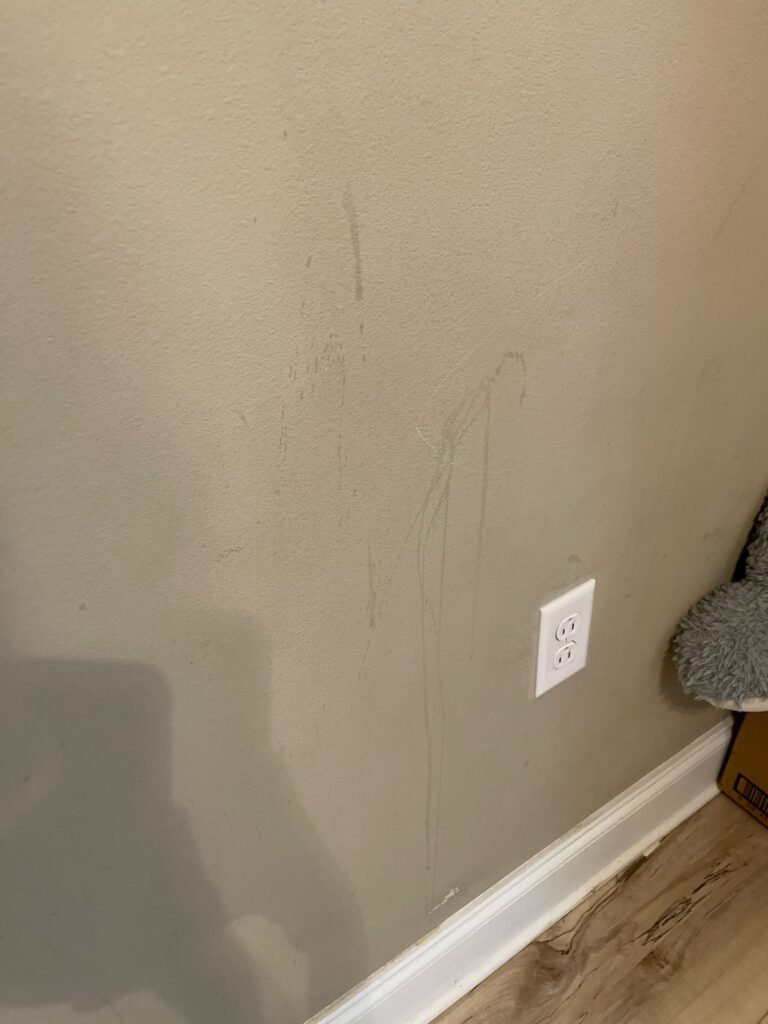 Can I Use My Steam Cleaner To Remove Paint Can I Use My Steam Cleaner To Remove Paint