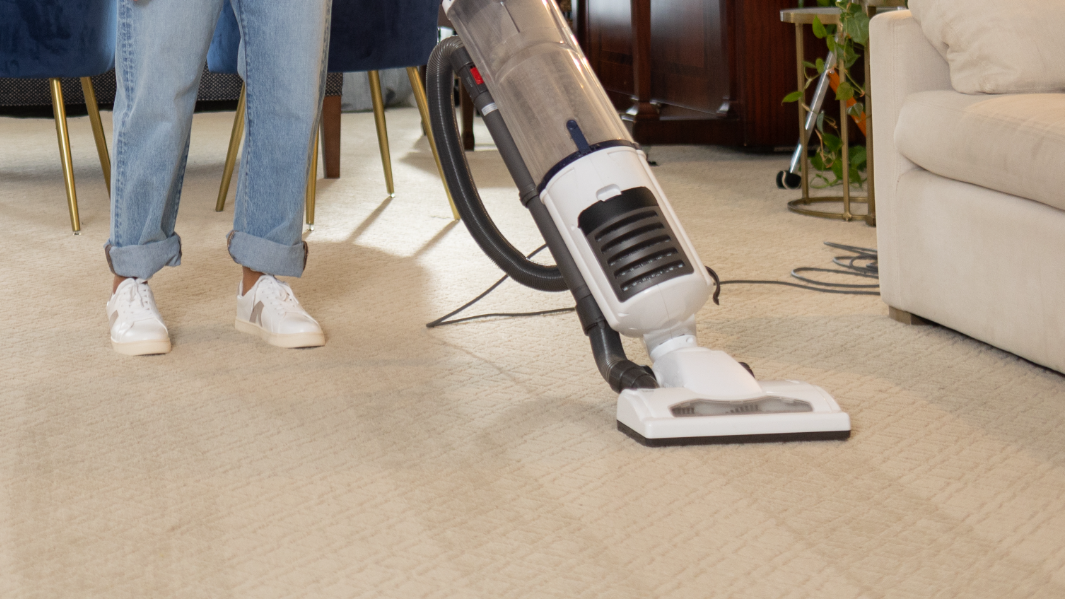Should I Vacuum After Steam Cleaning Carpet | Cleanestor