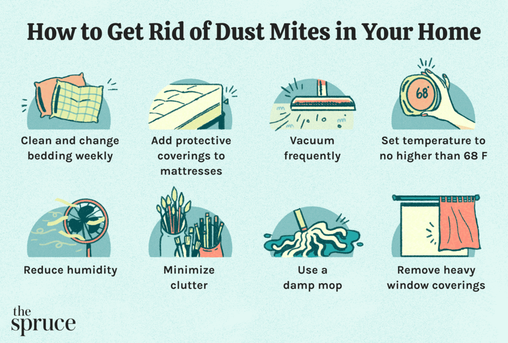 Will Cleaning Ac Filter Help Dust Mites Will Cleaning Ac Filter Help Dust Mites