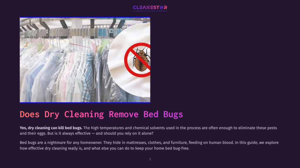 Dry Cleaning Rack Filled With Clothes In Plastic Bags, With A Circular Graphic Of A Bed Bug Icon On A White Background In The Foreground.