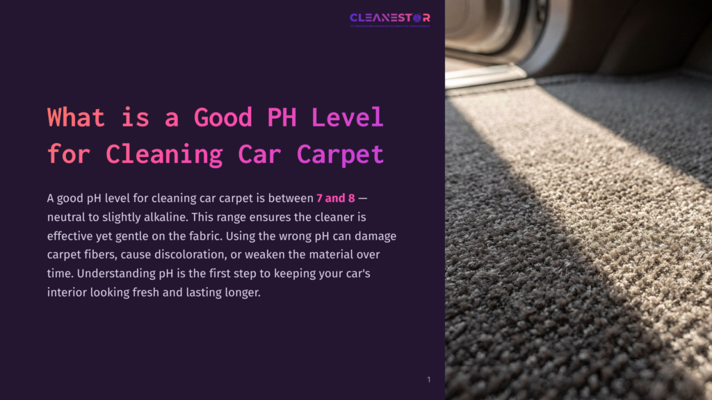 Close-Up Of A Car Carpet With Sunlight Streaming In, Text Reads &Quot;What Is A Good Ph Level For Cleaning Car Carpet.