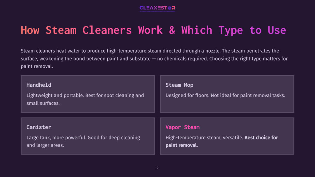 Infographic Detailing Types Of Steam Cleaners: Handheld, Steam Mop, Canister, And Vapor Steam, With Descriptions Of Their Uses, Highlighting Vapor Steam As Best For Paint Removal.