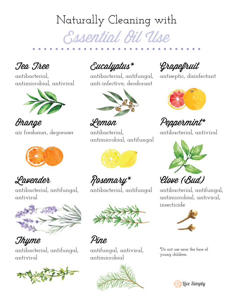 Where To Buy Essential Oils For Cleaning