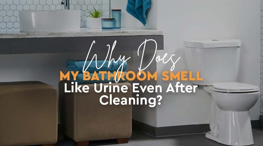 Why Does My Bathroom Smell Like Urine Even After Cleaning