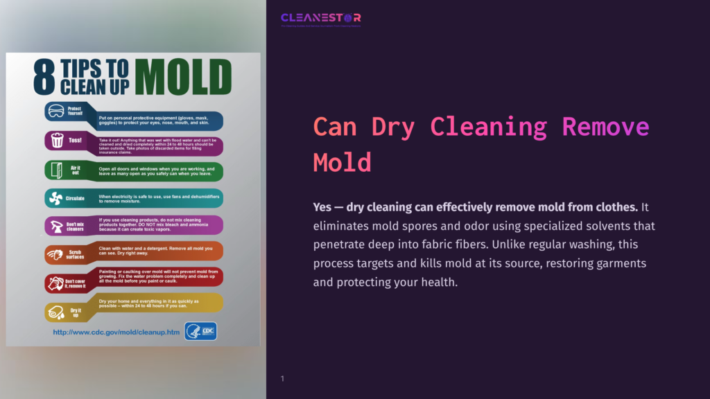 Infographic Titled &Quot;8 Tips To Clean Up Mold&Quot; With Icons And Text Detailing Protective Gear, Ventilation, And Cleaning Methods. The Right Side Features Text: &Quot;Can Dry Cleaning Remove Mold?&Quot; And &Quot;Yes – Dry Cleaning Can Effectively Remove Mold From Clothes.