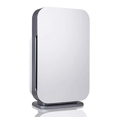 Best Air Cleaner For Pet Allergies