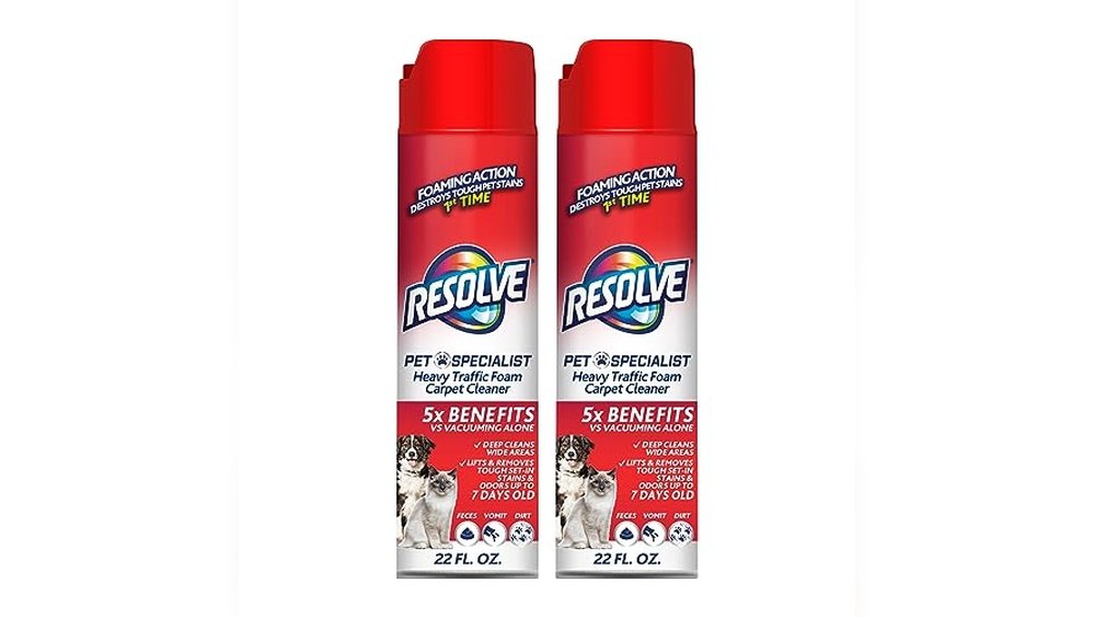 Best Spray And Vacuum Carpet Cleaner