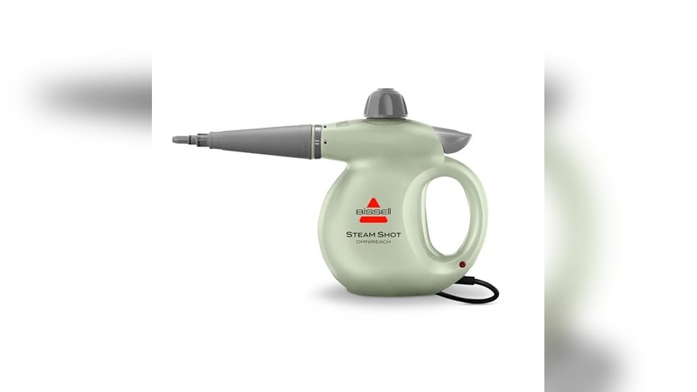 Best Steam Cleaner For Bed Bugs