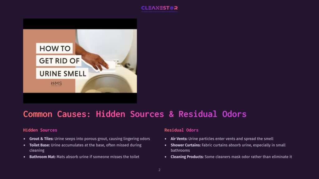 2 Common Causes Hidden Sources And Residual Odors A Person'S Hands Are Shown Cleaning A Toilet Bowl With A Brush, With Text Overlay That Reads &Quot;How To Get Rid Of Urine Smell&Quot;.