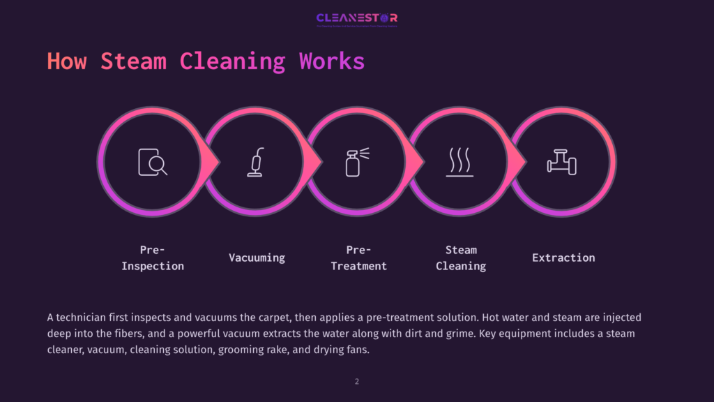 Infographic Illustrating The 5 Steps Of Steam Cleaning: Pre-Inspection, Vacuuming, Pre-Treatment, Steam Cleaning, And Extraction, With Icons Representing Each Stage.