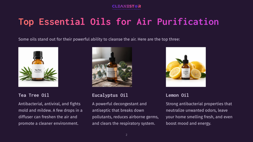 Three Essential Oil Bottles For Air Purification: Tea Tree Oil, Eucalyptus Oil, And Lemon Oil, Displayed With Their Respective Ingredients And Text Descriptions.