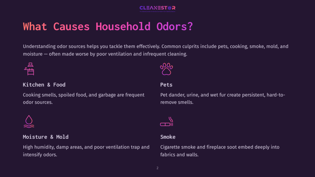 Infographic Titled &Quot;What Causes Household Odors?&Quot; Detailing Kitchen &Amp; Food, Pets, Moisture &Amp; Mold, And Smoke As Common Odor Sources With Icons.